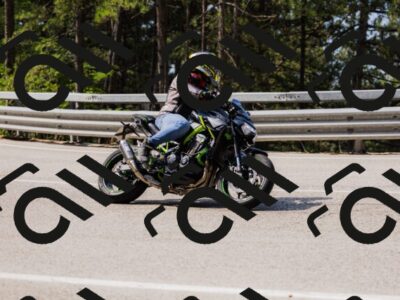 202508161055-_04A0450_c3