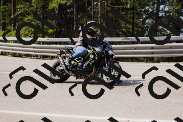 202508161055-_04A0450_c3