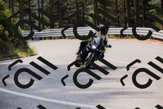 202508161055-_04A0451_c3