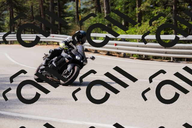 202508161055-_04A0452_c3