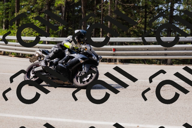 202508161055-_04A0453_c3