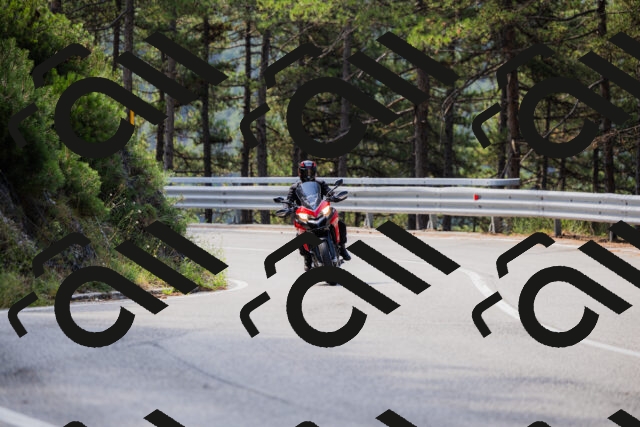 202508161056-_04A0455_c3