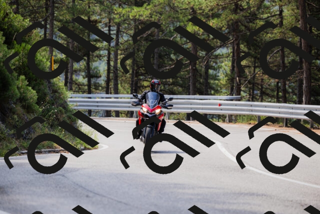 202508161056-_04A0456_c3