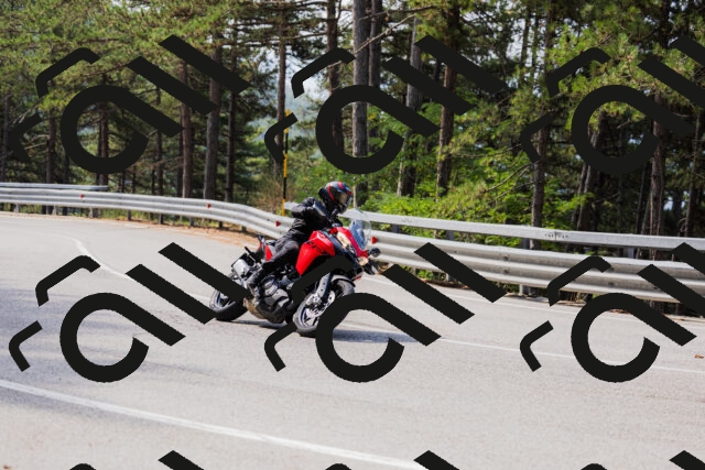 202508161056-_04A0457_c3