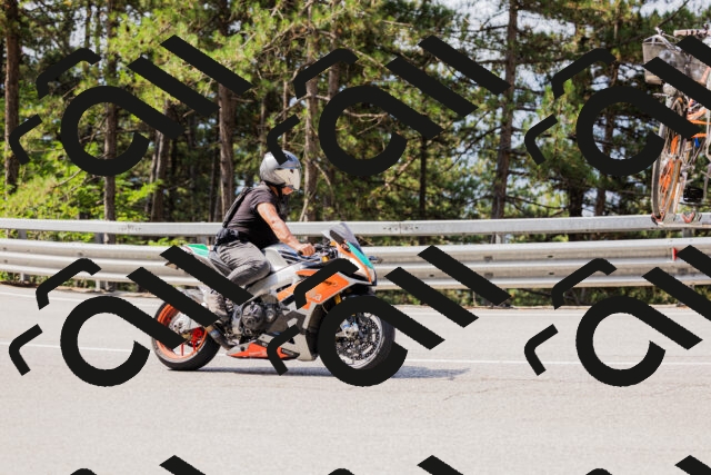 202508161057-_04A0460_c3