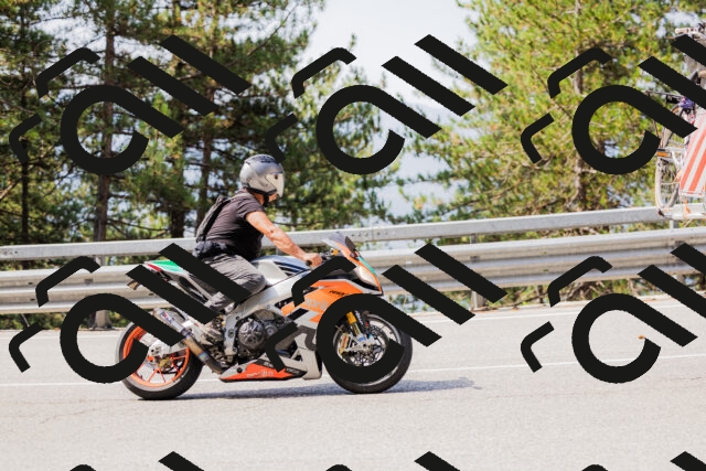 202508161057-_04A0461_c3