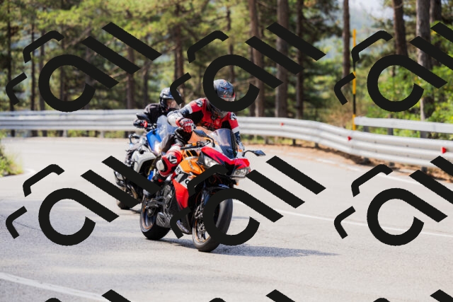 202508161058-_04A0463_c3