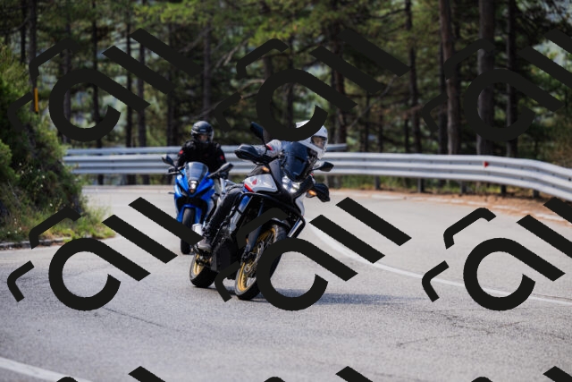 202508161059-_04A0468_c3