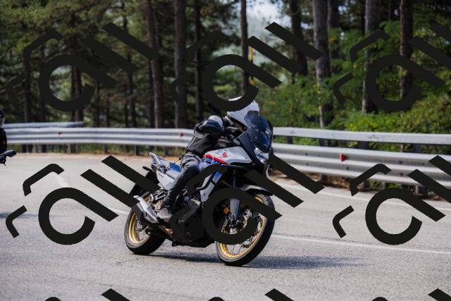 202508161059-_04A0469_c3