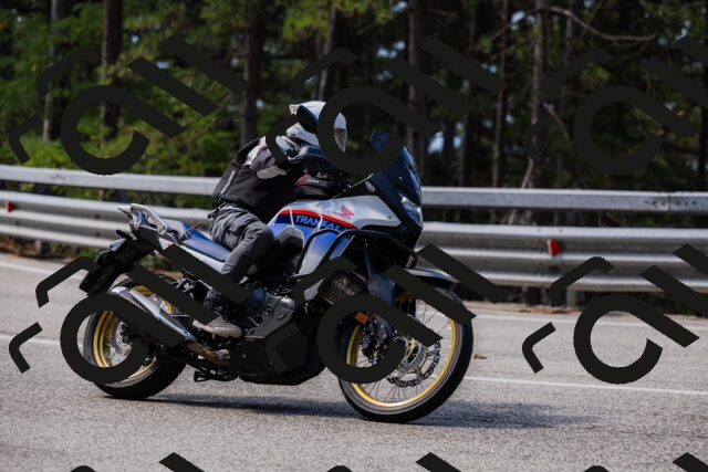 202508161059-_04A0470_c3