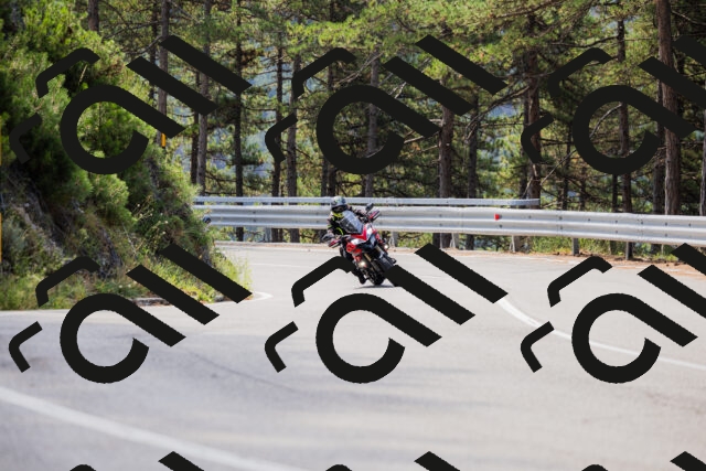 202508161100-_04A0484_c3