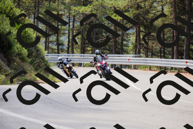 202508161100-_04A0485_c3