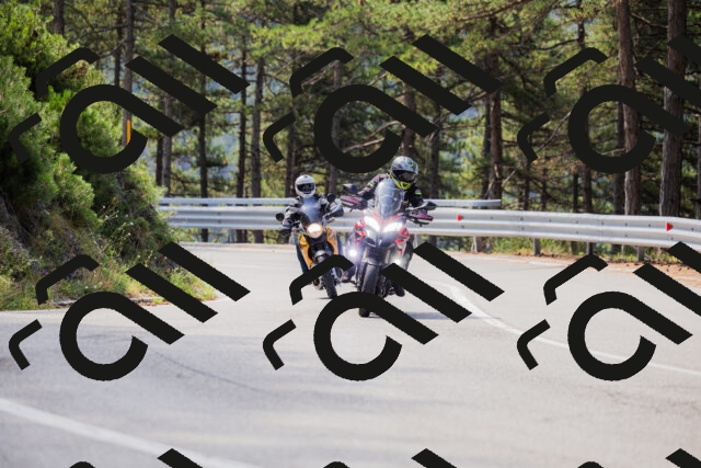 202508161100-_04A0487_c3