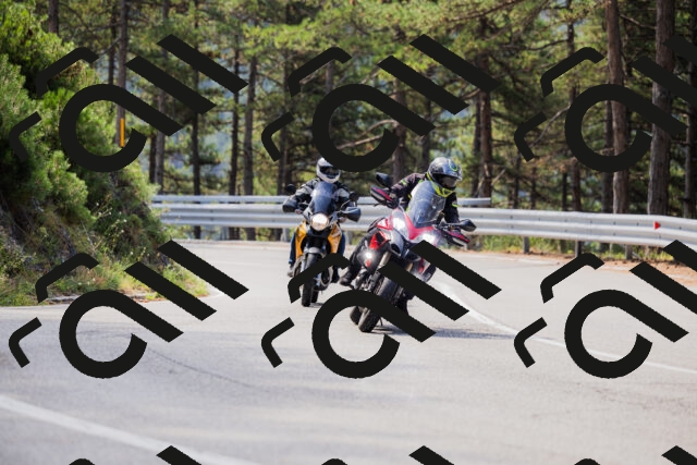 202508161100-_04A0488_c3