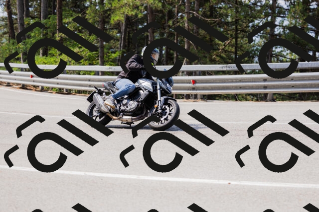 202508161100-_04A0493_c3