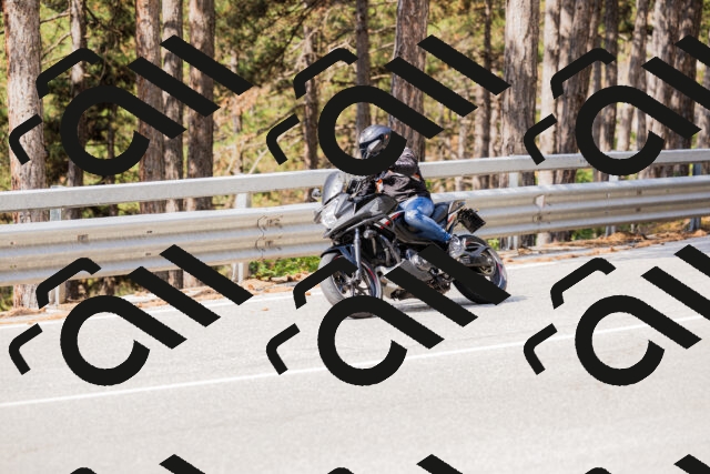 202508161101-_04A0497_c3