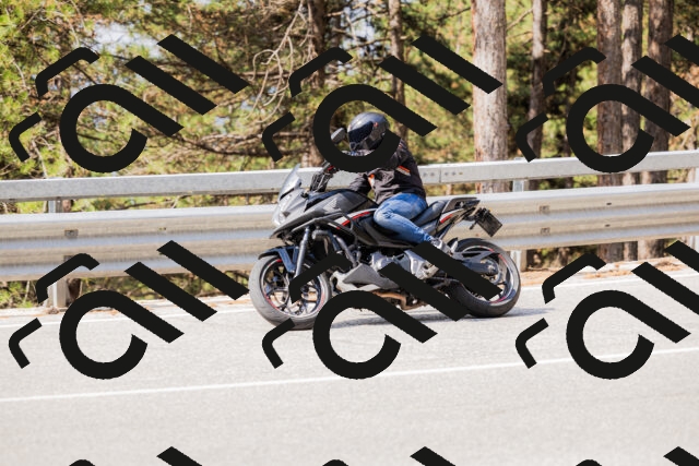 202508161101-_04A0498_c3