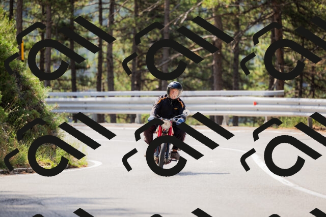 202508161102-_04A0500_c3