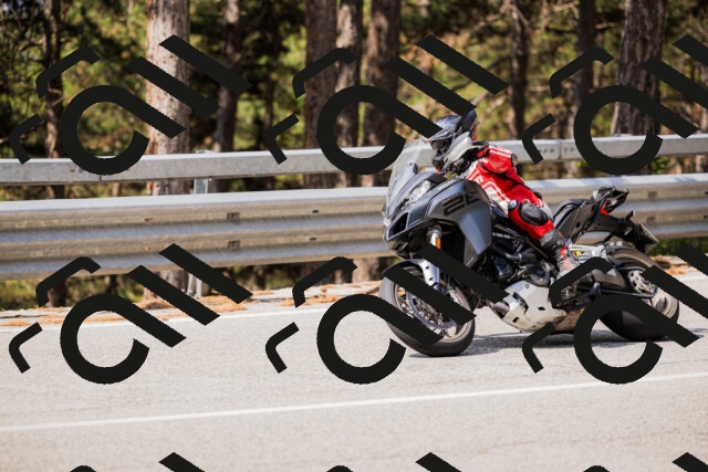 202508161103-_04A0505_c3