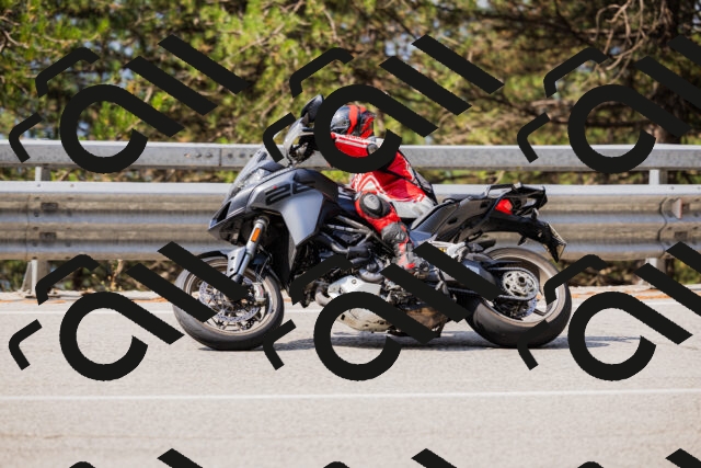 202508161103-_04A0506_c3