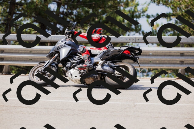 202508161103-_04A0507_c3