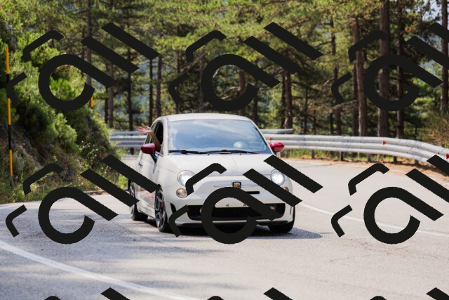 202508161103-_04A0508_c3