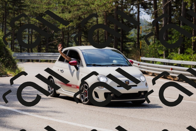 202508161103-_04A0509_c3