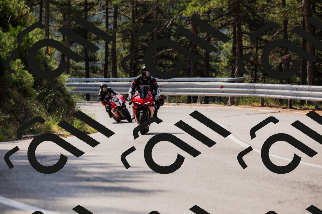 202508161104-_04A0515_c3