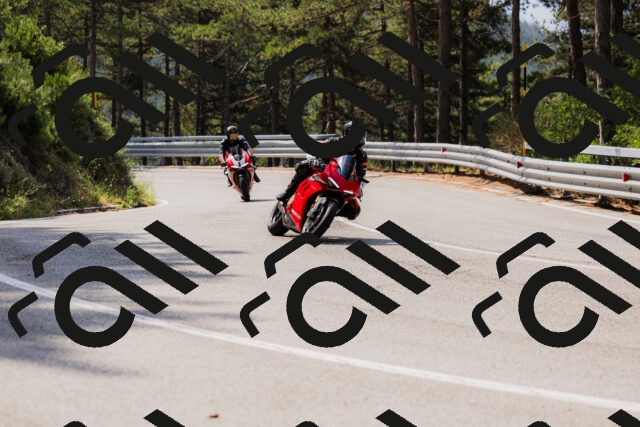 202508161104-_04A0517_c3