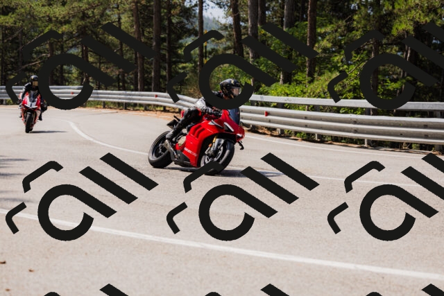 202508161104-_04A0518_c3