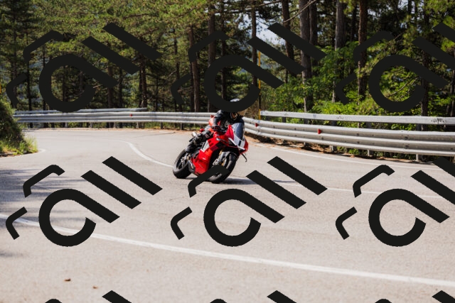 202508161104-_04A0519_c3