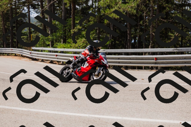 202508161104-_04A0520_c3