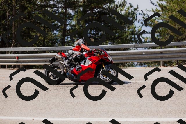 202508161104-_04A0521_c3