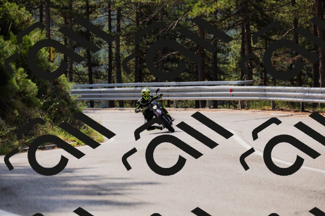 202508161106-_04A0522_c3