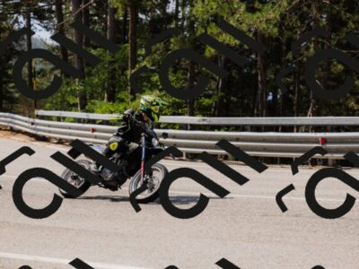 202508161106-_04A0528_c3