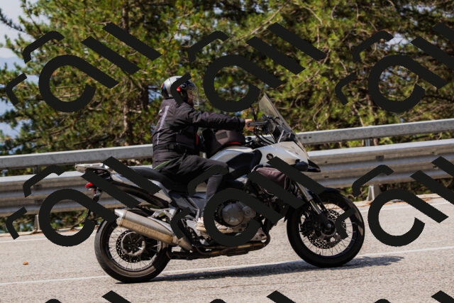 202508161107-_04A0533_c3