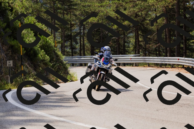 202508161109-_04A0540_c3