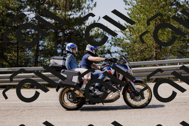 202508161109-_04A0543_c3