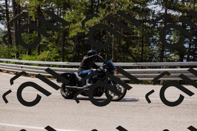 202508161110-_04A0547_c3