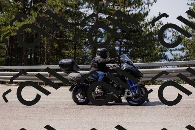 202508161111-_04A0548_c3