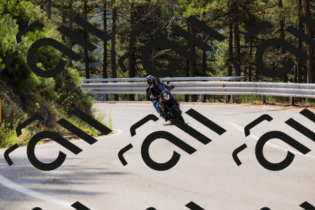 202508161113-_04A0550_c3