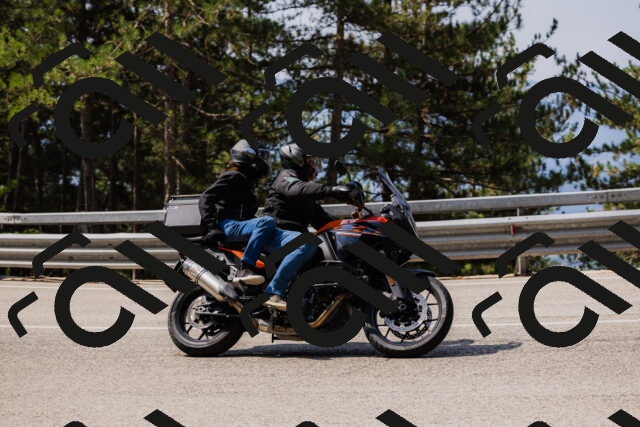 202508161113-_04A0553_c3