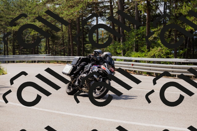 202508161113-_04A0554_c3