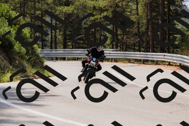 202508161113-_04A0558_c3