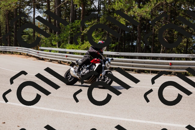 202508161113-_04A0559_c3