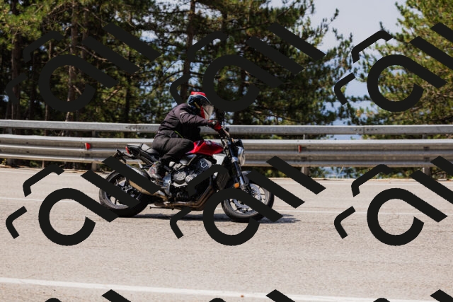 202508161113-_04A0560_c3