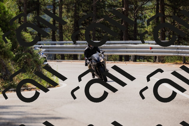 202508161113-_04A0561_c3