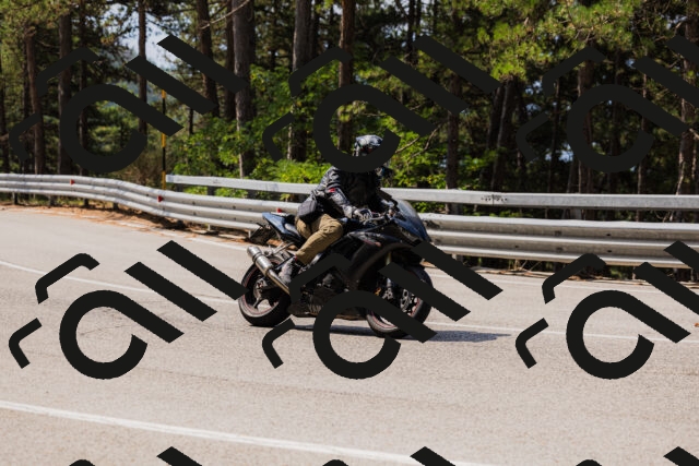 202508161113-_04A0563_c3