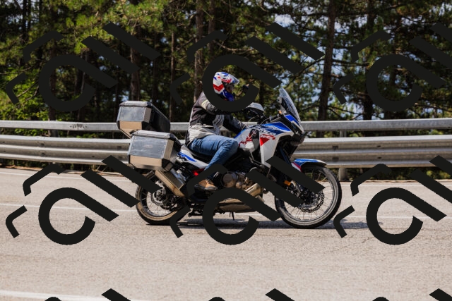 202508161113-_04A0564_c3