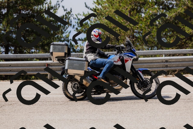 202508161113-_04A0565_c3